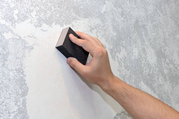 Best Commercial Mold Inspection  in Tioga, ND
