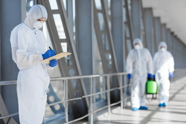 Best Mold Removal for HVAC Installations  in Tioga, ND