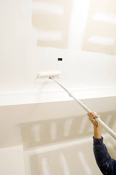  Tioga, ND Mold Removal Pros