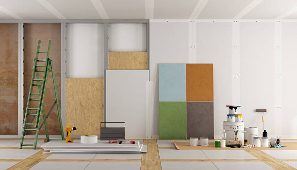 Best Basement Mold Removal  in Tioga, ND